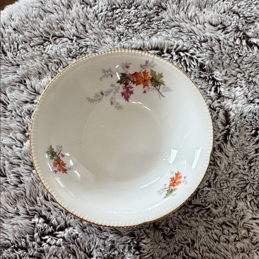 Winterling Bavaria Germany Autumn Leaves Set of 4 Fruit Dessert Bowls 5.5